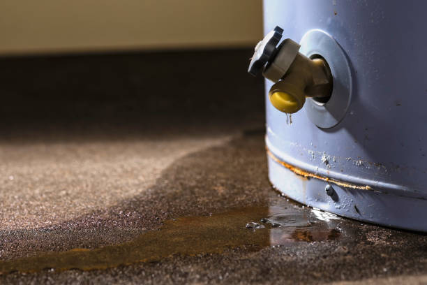 Best Water damage cleanup near me  in Key Center, WA