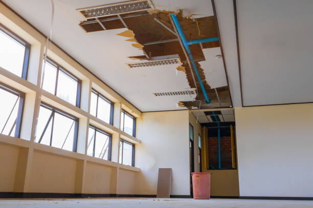 Best Flood damage cleanup  in Key Center, WA