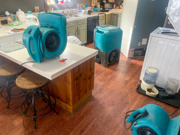 Best Carpet water damage restoration  in Key Center, WA