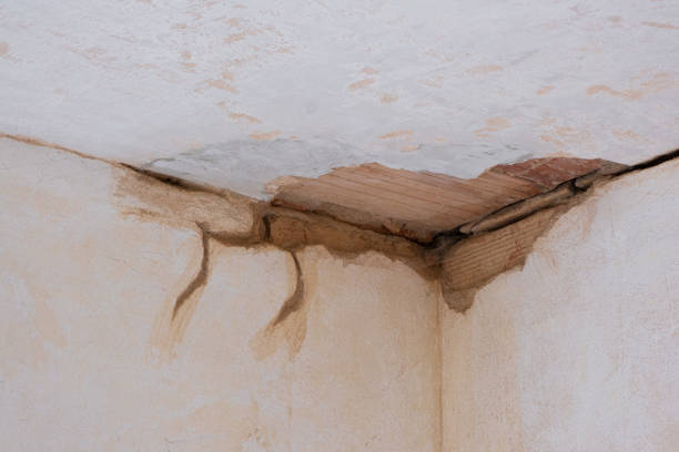 Best Water damage contractors near me  in Key Center, WA