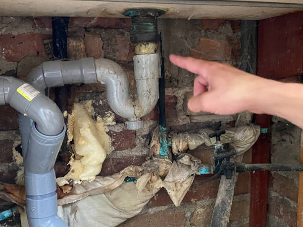 Best Mold removal after water damage  in Key Center, WA