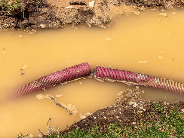 Best Residential water damage restoration  in Key Center, WA