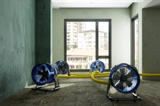 Best Water damage cleanup near me  in Key Center, WA